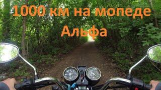 На мопеде ALPHA 110 кубов 1000 км