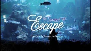 Sweet Escape - A Journey To Jakarta Short Movie