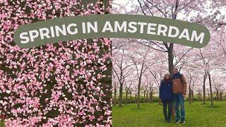 AMSTERDAM BOS CHERRY BLOSSOMS & SH*T WEATHER     Amsterdam spring vlog