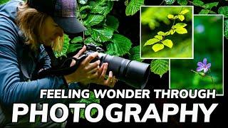 Developing A Sense Of Wonder  Nature Photography In An Ancient Woodland 