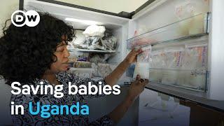 Meet Ugandas life-saving breast milk donor community  DW News