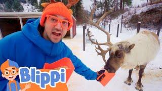 Blippi Visits a Reindeer Farm  Learn Animals for Kids  Fun and Educational Videos for Toddlers