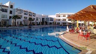 OLD VIC SHARM RESORT 4* Шарм эш Шейх. Всё что Вам нужно знать. 