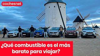 ¿Qué combustible es más barato para viajar? Comparativa SUV  Review en español  coches.net