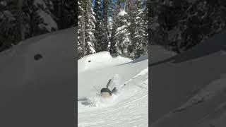 like a cartoon #falling  #wipeout #skiing