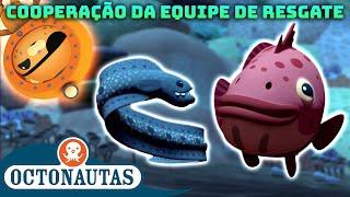 Octonautas - Cooperação da equipe de resgate  Compilação  Episódios inteiros