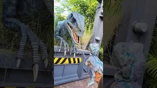 Raptor Blue Meeting Her Baby  Jurassic World at Universal Orlando