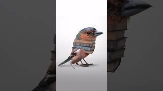 photo manipulation in #photoshop #graphicdesign #shorts #tutorial