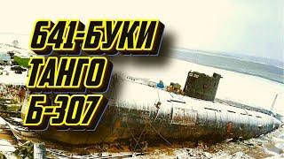 ДЭПЛ проект 641 БУКИ подлодка-музей Б-307