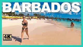 CARLISLE BEACH WALK  BARBADOS  4k Binaural Audio