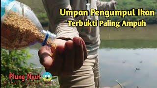 Teknik Memancing Ikan Wader Di Pertemuan Sungai  Auto Strike Bertubi Tubi