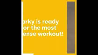Parky in your fitness room