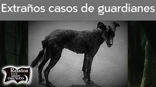 Extraños casos de guardianes  Relatos del lado oscuro