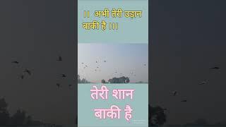 इन पक्षियों में जो साहस है।।️