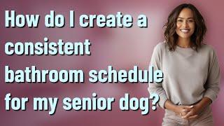 How do I create a consistent bathroom schedule for my senior dog?