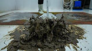 Beautiful Carpet - Filthiest Dark Mud Poured From This Flooded Rug - Satisfying Video