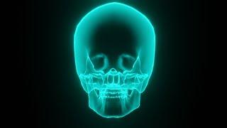 4K Skull rotating hologram Motion Background  Free Footage