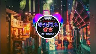 Chinese DJ remix Hot Tiktok Douyin Dj 抖音版2024 - 柯柯柯啊 - 姑娘在远方 \ 海来阿木 - 诺言  刘瑾睿 - 若把你  仗著 - 陳壹仟