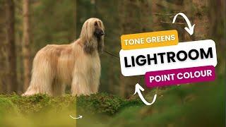 How to use Point Colour in Lightroom Classic to Tone Your Greens  20234 Update