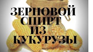 Сахар дорожает Из чего гнать самогон? Делаю зерновой спирт Кукуруза и кодзи достойно даже в бочку.