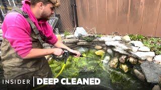 How An Algae-Infested Koi Fish Pond Is Deep Cleaned  Deep Cleaned  Insider