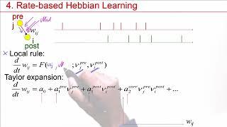 NDC6.4 - Models of Long-Term Plasticity Hebbian learning and Bienenstock-Cooper-Munro rule