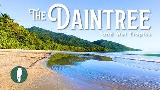 The Daintree Rainforest and Wet Tropics  Queensland  Australia Nature
