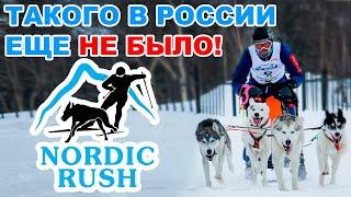 ТАКОГО В РОССИИ ЕЩЕ НЕ БЫЛО Фестиваль ездового спорта Nordic Rush 2021