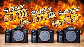 Sony a7 III vs Sony a7R III vs Sony a9 Which To Buy