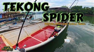 TEKONG SPIDER......penyelamat ikan di Kuala Masai