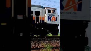 momen keretaapi barang lewat depan kamera