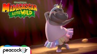 Glorias Hippo Ballet  MADAGASCAR A LITTLE WILD