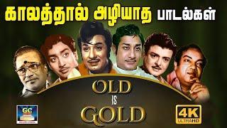 காலத்தால் அழியாத பழைய பாடல்கள்  60s Old is Gold  MGR  Sivaji  TMS  Kannadhasan  Muthuraman