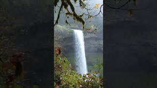 Sliver Falls State Park #nature #relaxing #waterfall #oregon #relax #flying #shorts #youtubeshorts