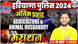 Haryana Police Agriculture & Animal Husbandry Marathon Class  HSSC Constable Marathon  Sandeep Sir