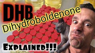 DHB Dihydroboldenone Explained