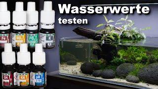 WASSERWERTE im AQUARIUM messen  JR Aquascaping