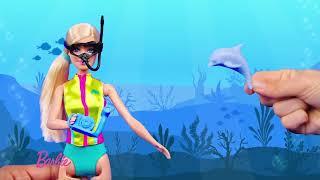 Barbie® Marine Biologist Doll and Playset  AD