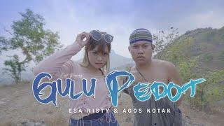 Esa Risty ft. Agos Kotak - Gulu Pedot Official Music Video Mletree Asekk Bosquee