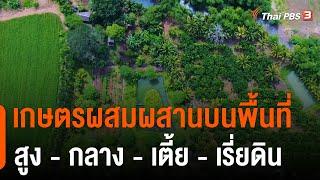 เกษตรผสมผสานบนพื้นที่ สูง - กลาง - เตี้ย - เรี่ยดิน  ดอกผลของความยั่งยืน