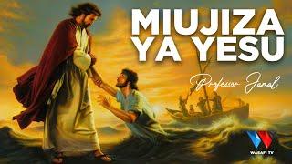 The Story Book Ukweli wa Maajabu Ya Miujiza Ya Yesu  All Jesus Miracles in Swahili