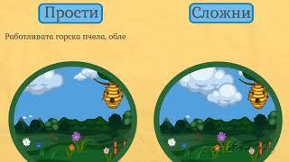 Видове изречения по състав - Български език 4 клас  academico