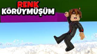  Renk Körü Olduğumu Öğrendim   Color Blocks  Roblox Türkçe