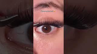 Wear lashes using white glue #crislash #diylashextensions #lashes #diylashes