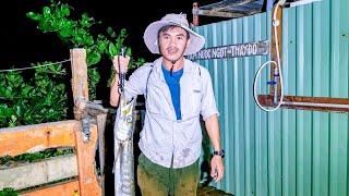 Đi câu cá nhồng cá chẽm - Phần 2 - Câu được cá nhồng và cá xương xanh Barracuda Fishing