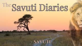 Exploring Savuti Botswana