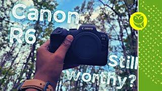 Canon R6 still worth buying in 2022? Wildlife photographers long term review