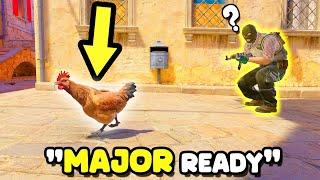 CHICKENS SHOULD BE BANNED ON MAJOR - CS2 BEST MOMENTS