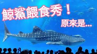 在沖繩美麗海水族館看到鯨鯊餵食秀，超大水族箱！｜我在沖繩旅行2【Vlog】
