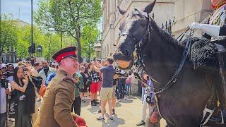 HORSE LAUGHS and MULTIPLE IDIOTS provoke LOUD SHOUTS as huge crowds arrive at Horse Guards